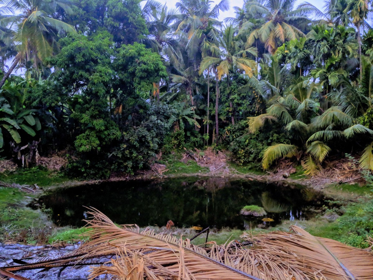Bawkhal of Vasai-Virar